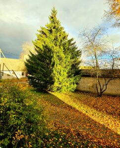 Ma ei oota enam täiuslikke tingimusi. Ma loon need ise