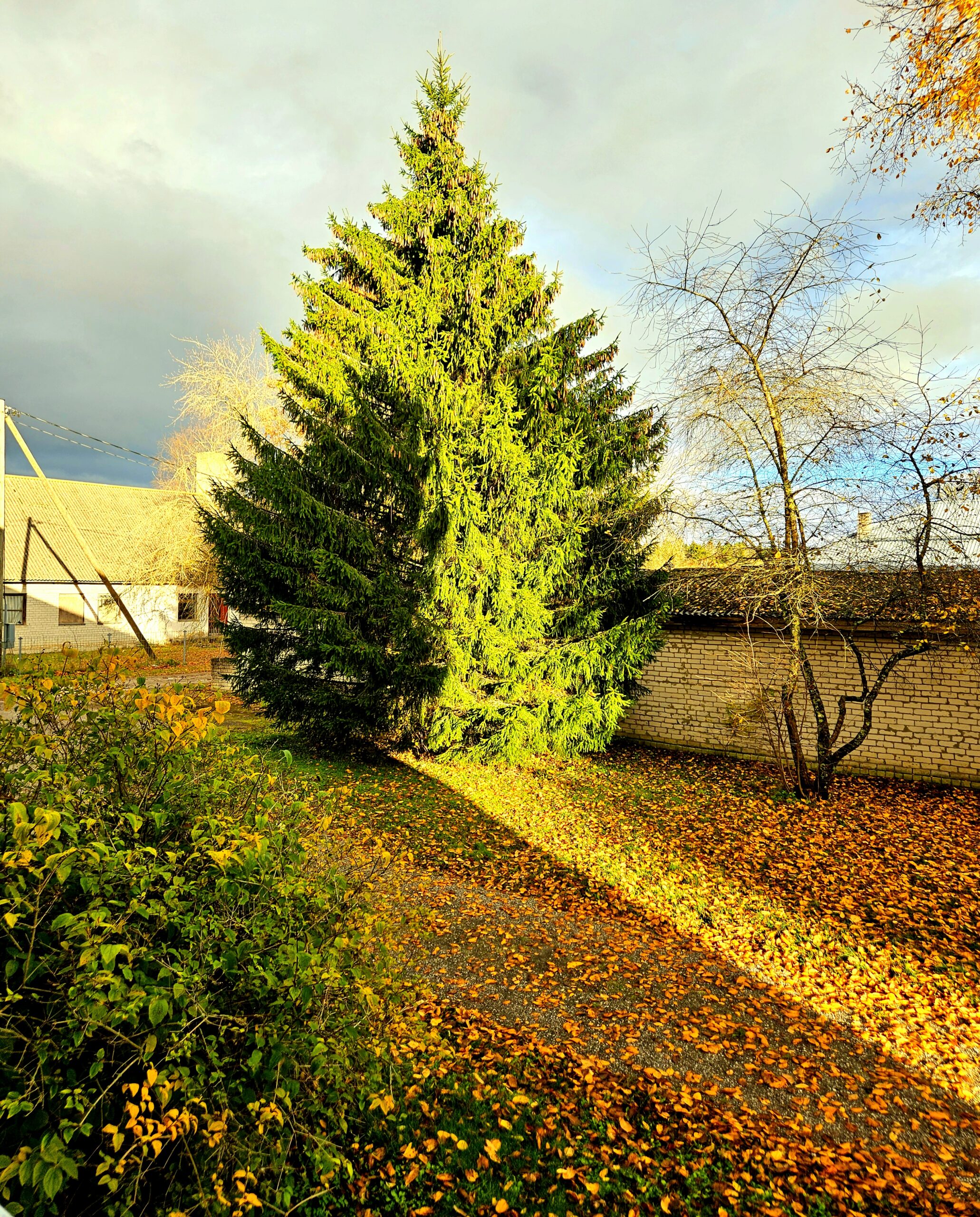 Ma ei oota enam täiuslikke tingimusi. Ma loon need ise