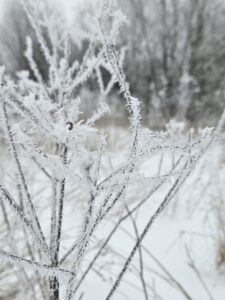 Mitte kõik, kes sind kritiseerivad, ei taha sulle head