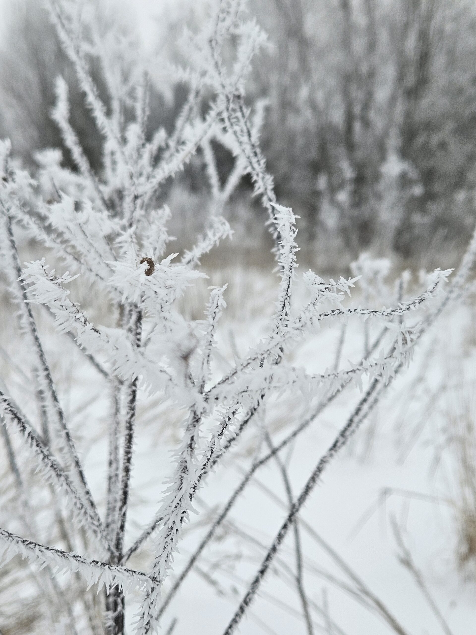 Mitte kõik, kes sind kritiseerivad, ei taha sulle head